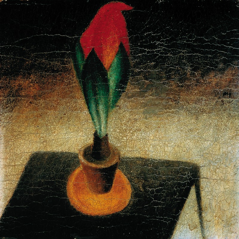 Tulipan Tulipan