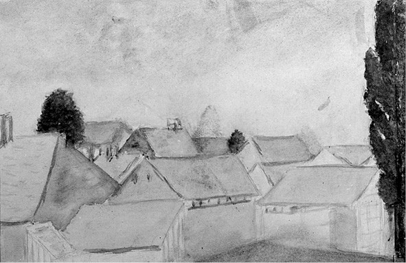 Dachy i topola Roofs and Poplar Dachy i topola Roofs and Poplar